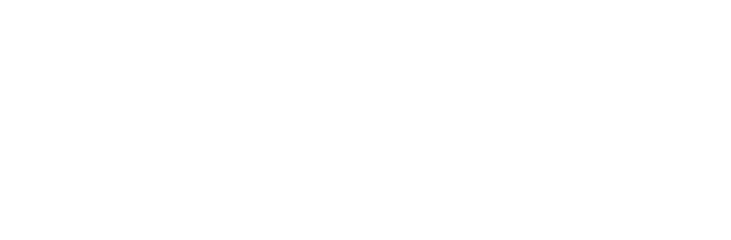 FORMACIÓ FUNDACIÓ CIC